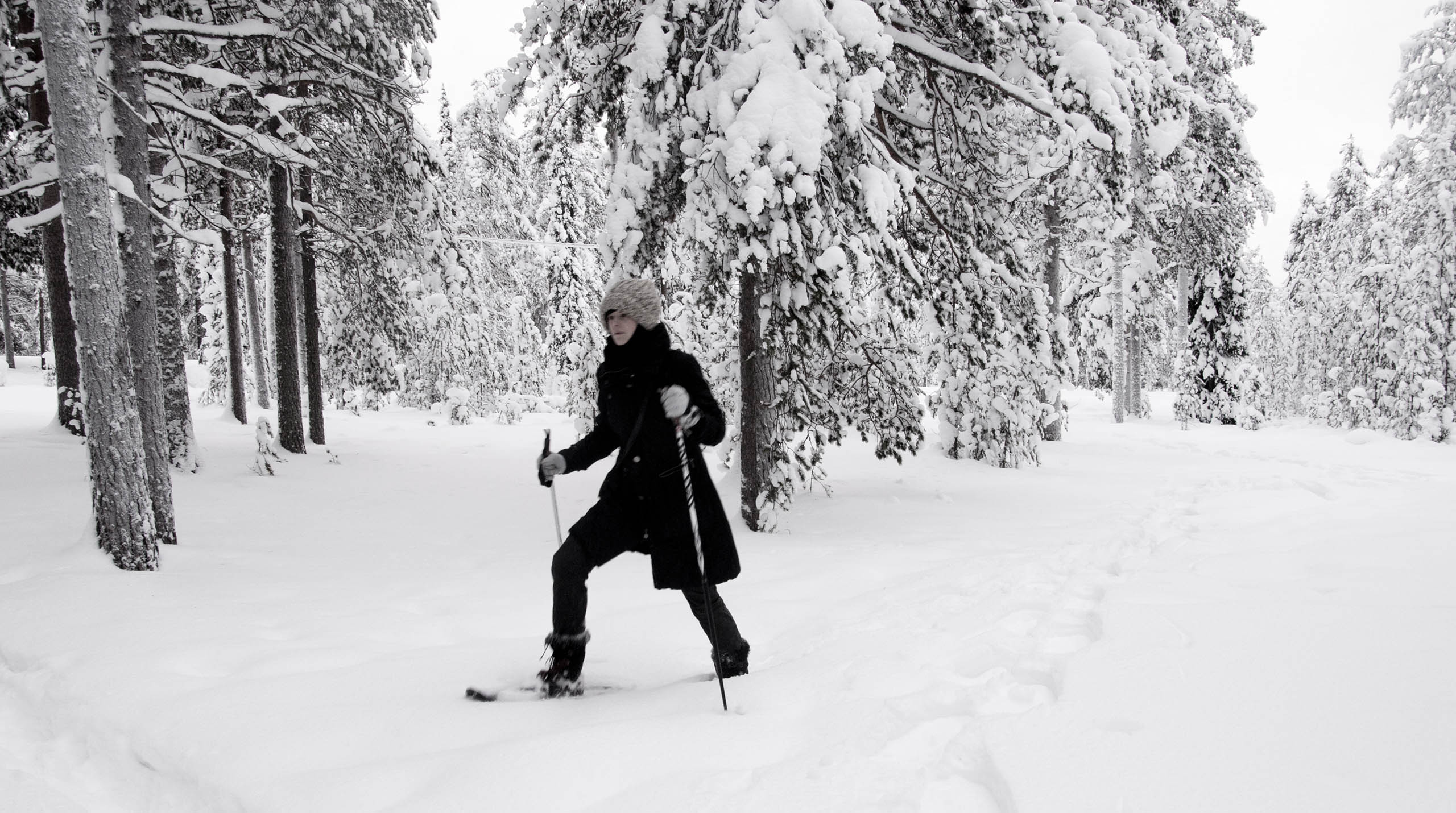 sneeuw-bomen-lapland-carlijnhogema
